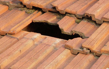 roof repair Foyers, Highland